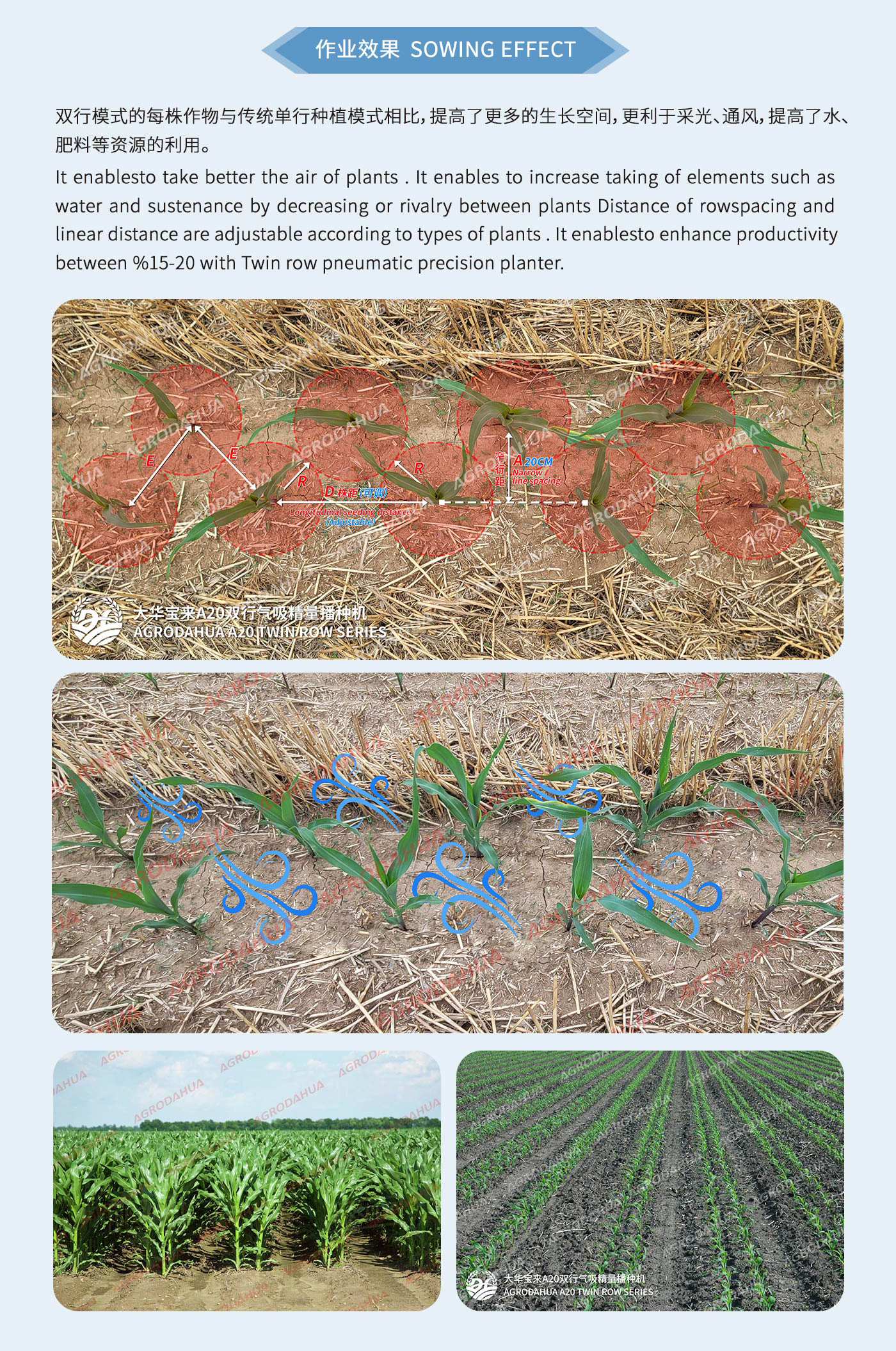 Better-ventilation-and-light-transmission-for-crops