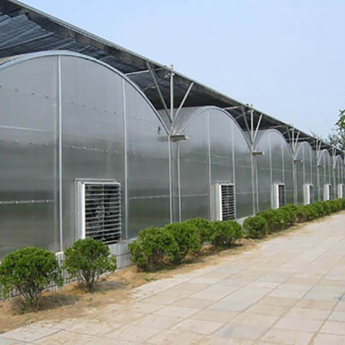 Agricultural Poly Multi-Span Arch PC Greenhouse Manufacturers and Agricultural Poly Multi-Span Arch PC Greenhouse Suppliers