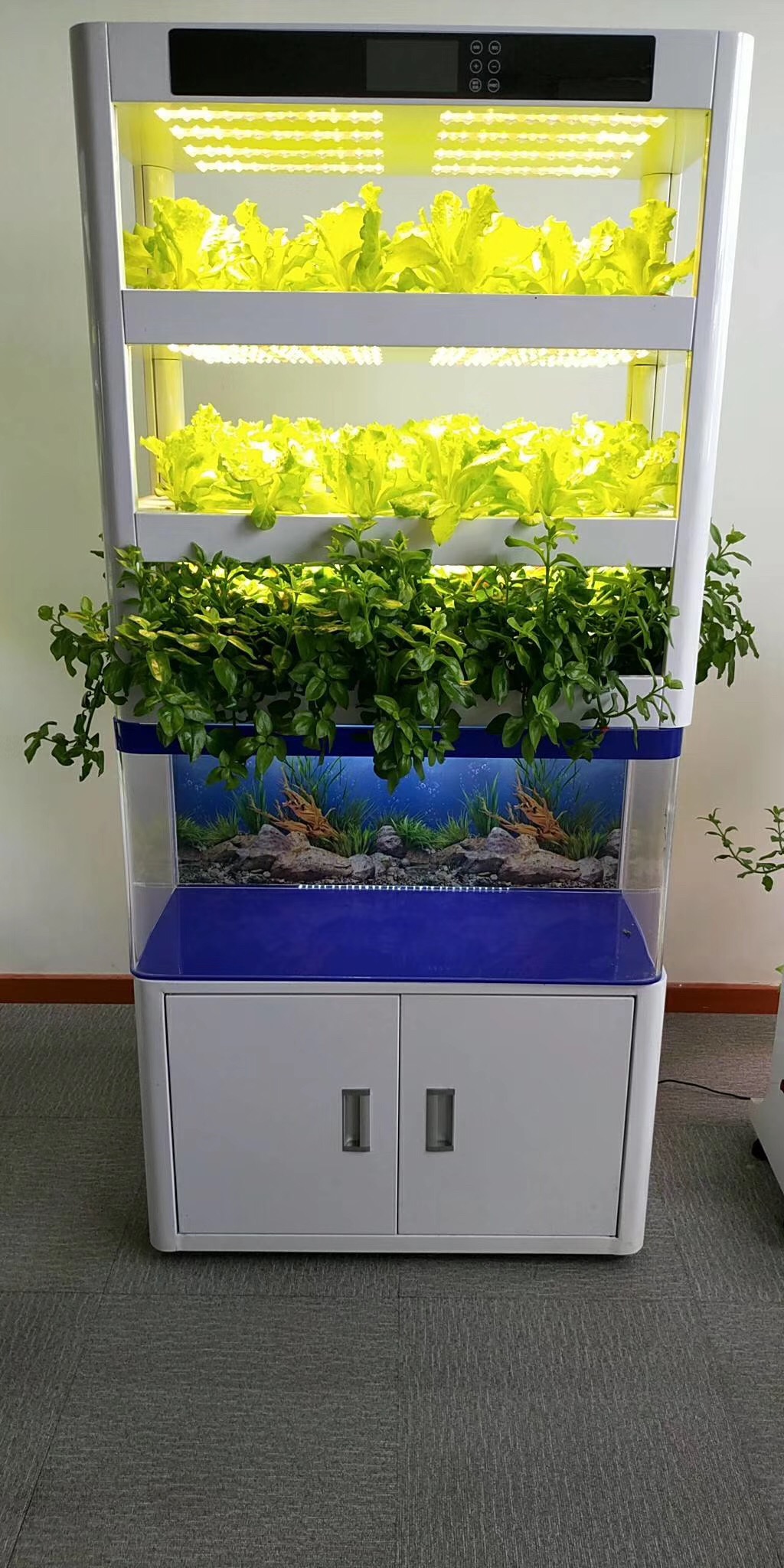 vertical hydroponic 26