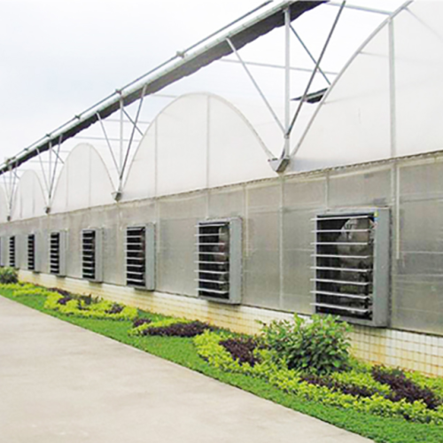 Multi Span Film Covering Greenhouse for Vegetables Manufacturers and Multi Span Film Covering Greenhouse for Vegetables Suppliers