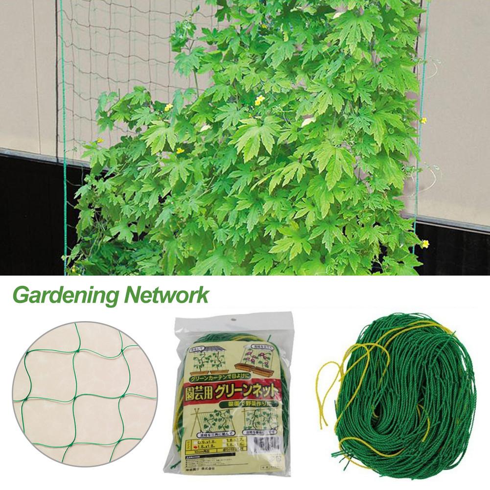 Melon Fruit Morning Glory Vine Net Flower Vine Cucumber Trellis Netting Plant Net For Plant Climbing Garden Supplies