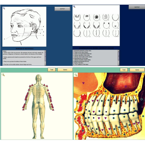 innovative bio-resonator 3d nls quantum body health analyzer for Sale, innovative bio-resonator 3d nls quantum body health analyzer wholesale From China