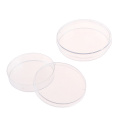 10Pcs for Laboratory Medical Biological Scientific Lab Supplies 70mm Polystyrene Sterile Petri Dishes Bacteria Culture Dish