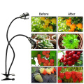USB LED Growing Light 20W 2 Heads Clip Full Spectrum Greenhouse Indoor Growth Lamp for Flowers Vegetables Plants Seeds Seedlings
