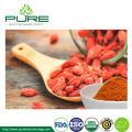 High Quality Goji Berry Powder