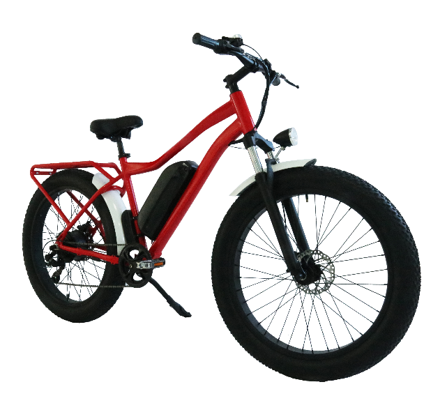 internal fully madmod electric bicycle