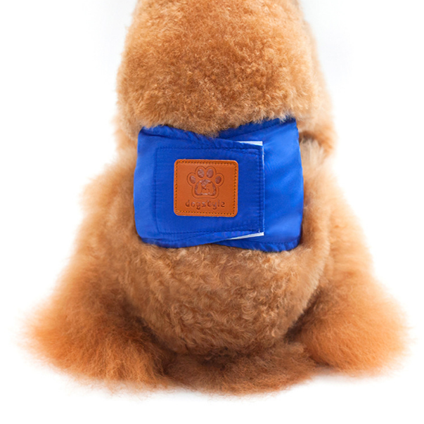 Reliable Pet Pants