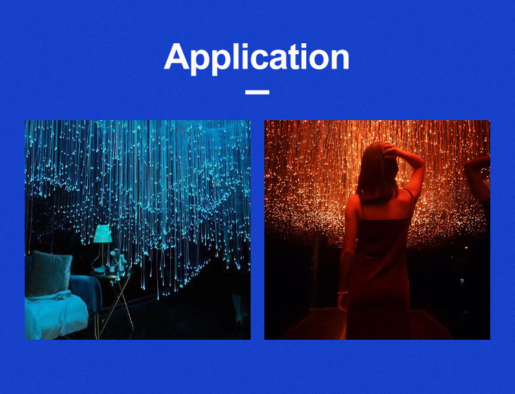 Fiber Optic Lamp Light