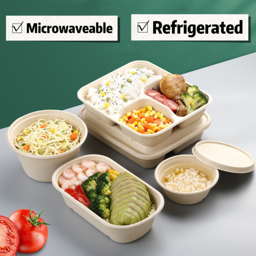 Suppliers for Eco friendly multi-Compartment sugarcane food container