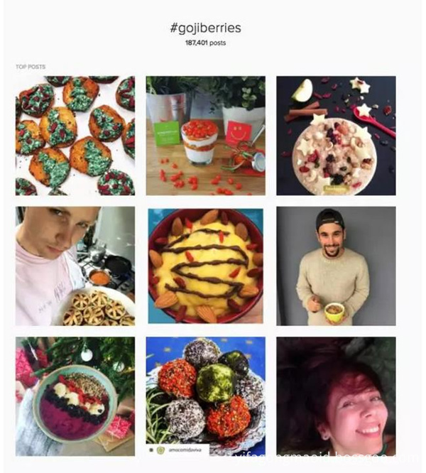food with goji berries 