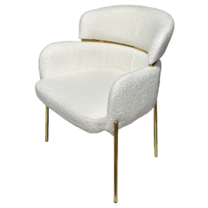 Modern Accent Chair with Comfortable High-Back Structure