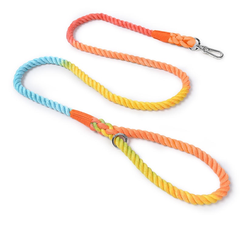 Dog Leash