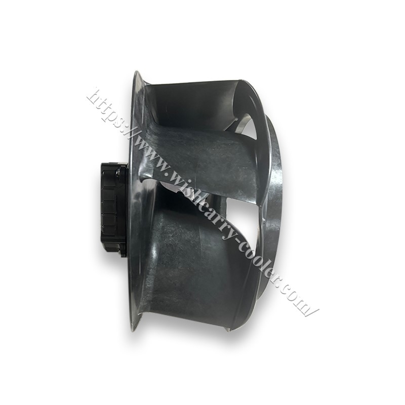 782013 purple 782012 black05