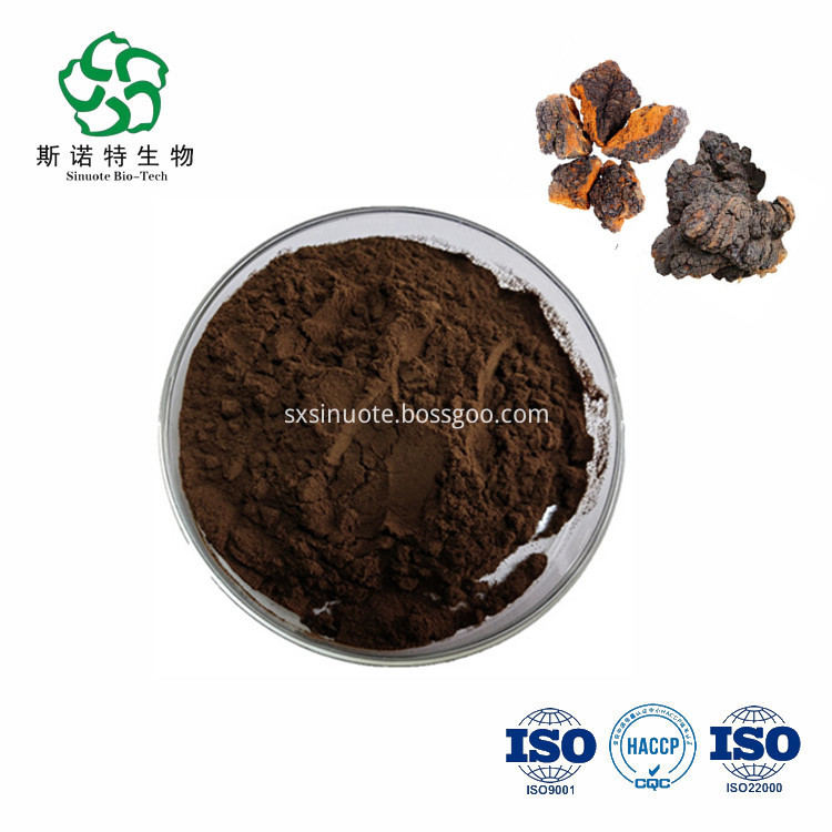 Chaga Mushroom Extract Chaga Mushroom Extract