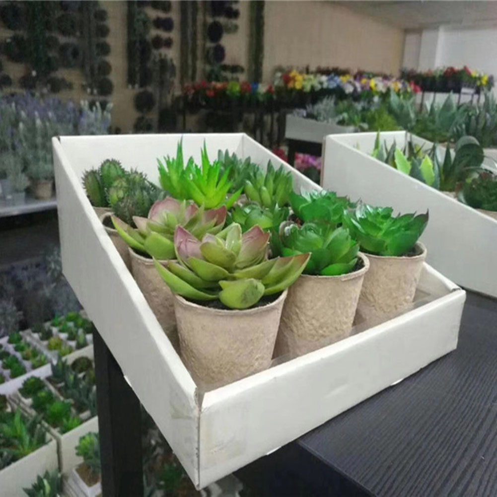 25pcs Round Biodegradable Paper Pulp Pot Plant Nursery Tray Vegetable Fruit Seedling Cup Eco-Friend Agriculture Seeds Plant Pot