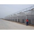 Multi-span cheap agricultural film Tunnel Plastic greenhouse