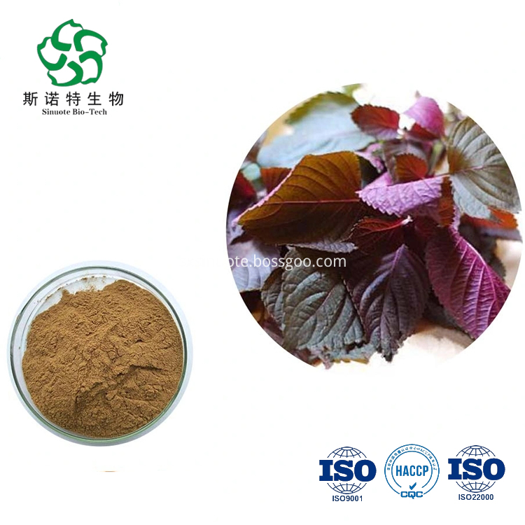 Perilla Leaf Extract
