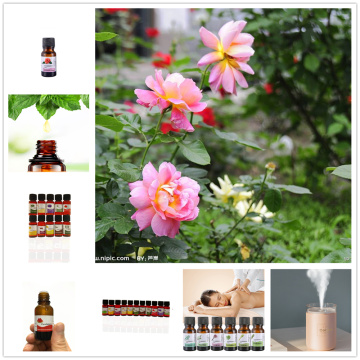 Water Soluble Camellia Essential Oil Relieve Stress for Humidifier Fragrance Purifying Air Fragrance Aromatherapy Essential Oil