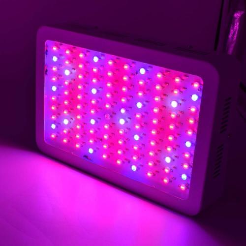 Full Spectrum Indoor Led Grow Light Manufacturers and Full Spectrum Indoor Led Grow Light Suppliers