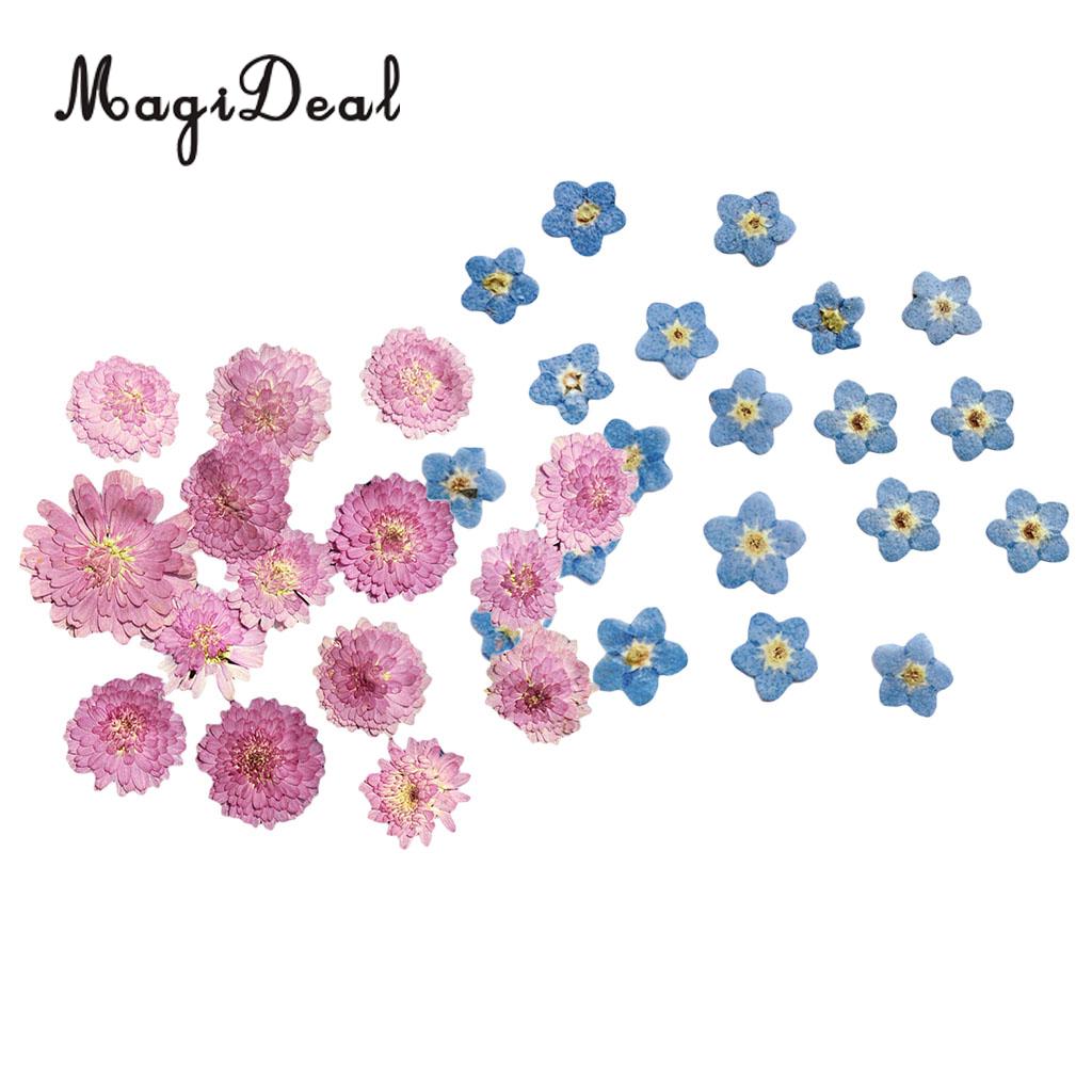 MagiDeal 20Pcs Pressed Dried Flower Dry Leaves For DIY Crafts Bookmark Cards Making