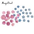 MagiDeal 20Pcs Pressed Dried Flower Dry Leaves For DIY Crafts Bookmark Cards Making