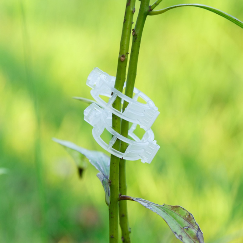types plants Hanging Plastic Durable Clear Plant Support Clips Vine Garden Vegetables 23mm
