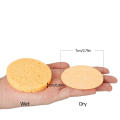 1Pcs Compressed Comfortable Facial Sponges for Facial Makeup Remover Puff Reusable Cleansing and Exfoliating Facial SPA Massage