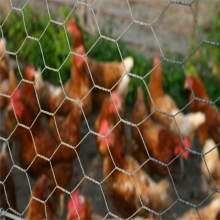 chicken cage hexagonal wire mesh fence for livestock