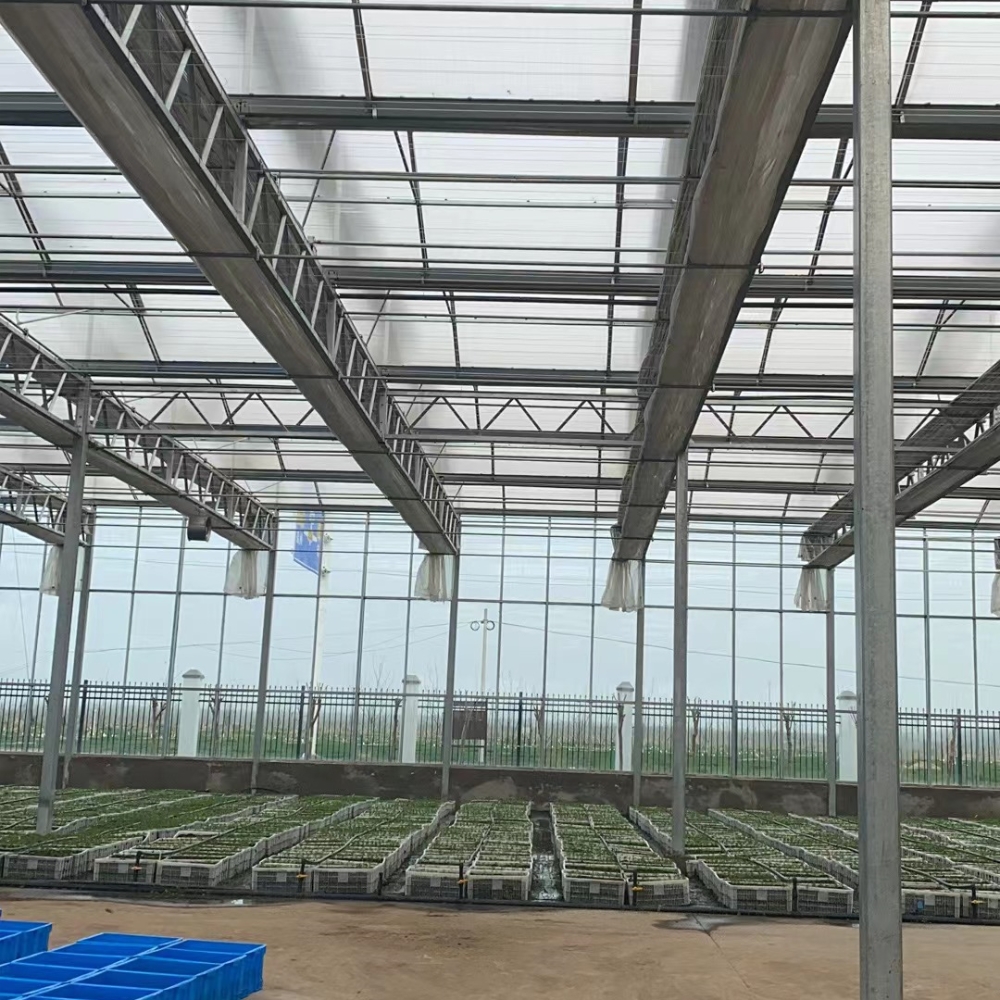 Sunshine Board Multi-span Greenhouse