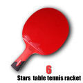 Ping Pong Paddle with Killer Spin Case for Free - Professional Table Tennis Racket for Beginner and Advanced Players 6 7 8 Star