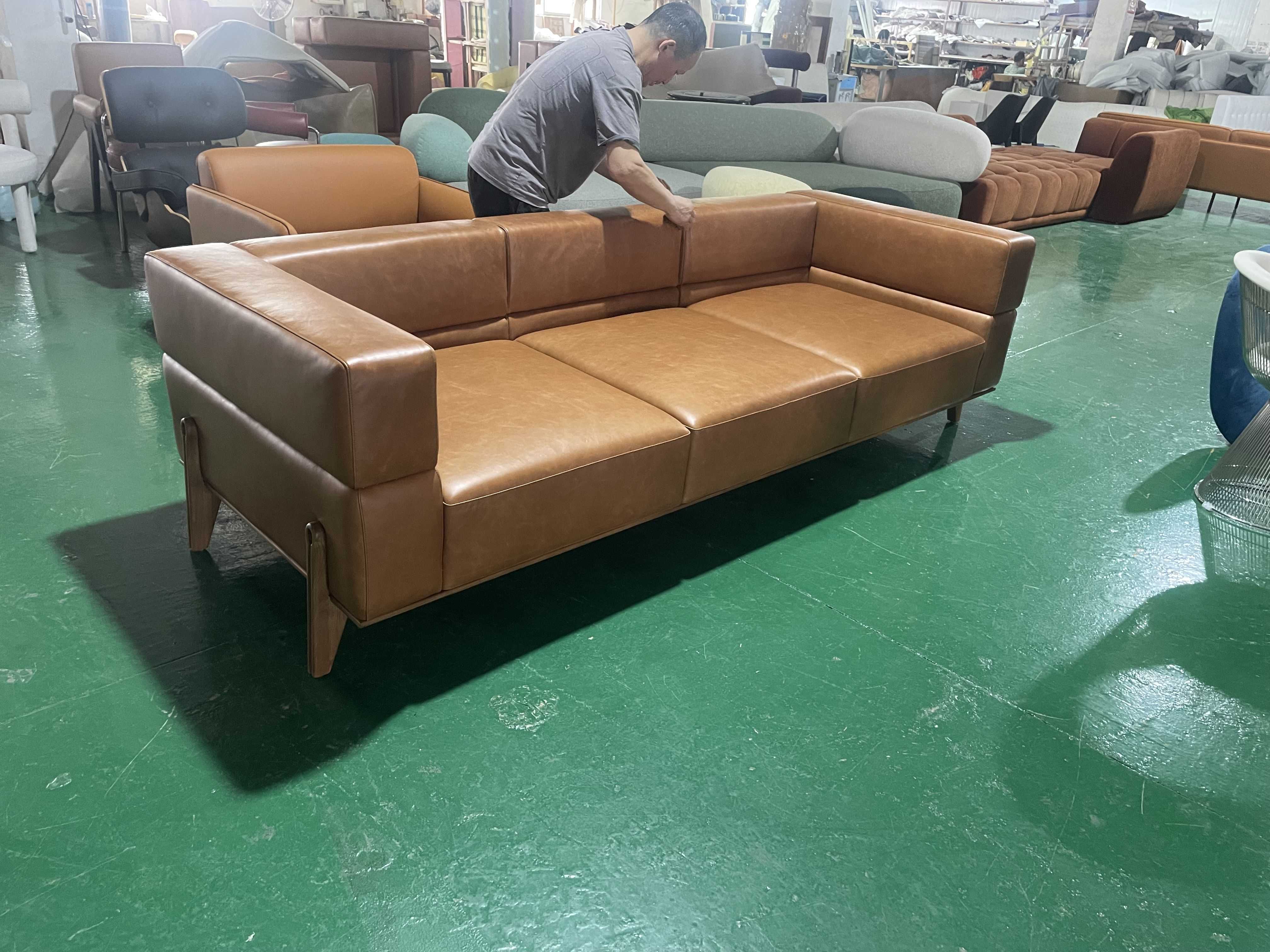 living room sofa-4 (4)