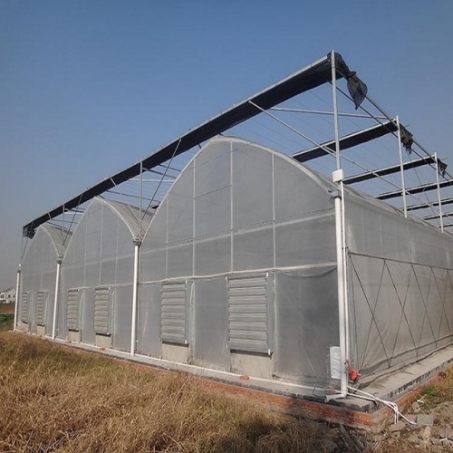 Multi Span PE Agricultural Commercial Greenhouse Manufacturers and Multi Span PE Agricultural Commercial Greenhouse Suppliers