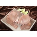 Details about New Womens Sexy Underwear Satin Print Lace Embroidery Bra Sets Panties BC Cup