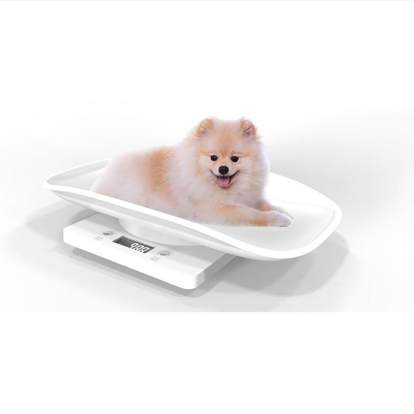 Household scale tools Mini pet scale electronic scale home ABS Electronic scale (1g / 10kg)