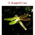 2 dragonflies