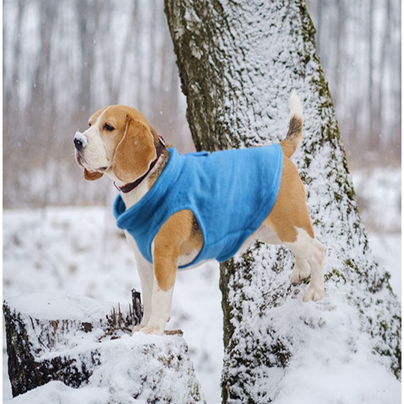 S/M/L/XL Dog Clothes Pet Casual Coat Autumn Large Dogs Coat For Labrador Chihuahua Clothing Costume Solid Color Printing