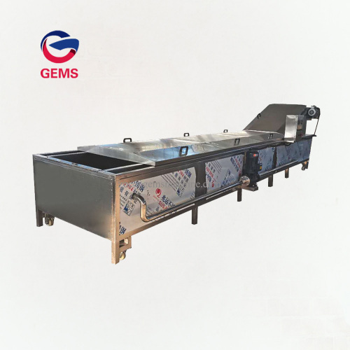 Ginseng Abalone Cooking Blanching Tomato Blanching Machine for Sale, Ginseng Abalone Cooking Blanching Tomato Blanching Machine wholesale From China