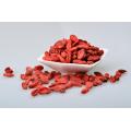 Wild Red GoJi Berries