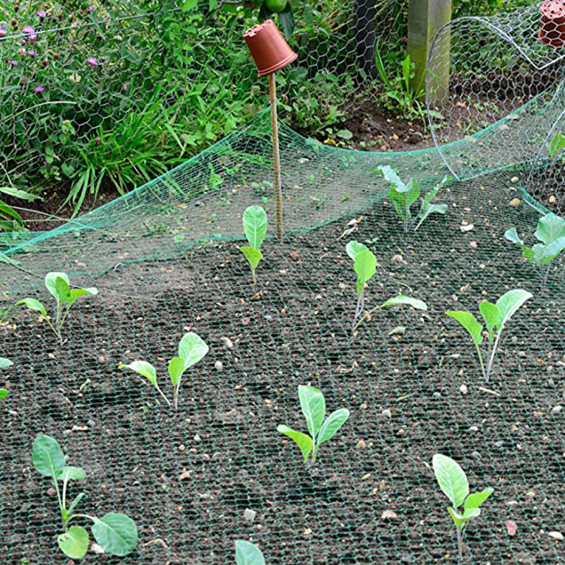 Bird Net Effective Trap Hunting Sensitive Quail Trapping Garden Supplies Pest Control Green Mesh Net Crop Seed Vegetables Care