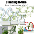 Adjustable Plastic Cable Ties Reusable Cable Ties Greenhouse Grow Kits for Garden Tools Tree Planting Climbing Plant Support