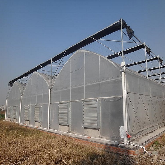 complete set of heat preservation chicken house greenhouse