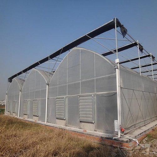 Multi Span Film Covering Greenhouse for Vegetables Manufacturers and Multi Span Film Covering Greenhouse for Vegetables Suppliers