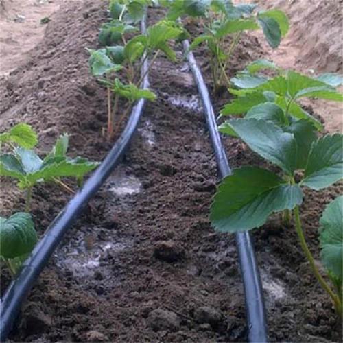 Drip Pipe Emitter Irrigation Drip Line Manufacturers and Drip Pipe Emitter Irrigation Drip Line Suppliers