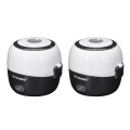 MINI Rice Cooker Thermal Heating Electric Lunch Box 2 Layers Portable Food Steamer Cooking Container Meal Lunchbox Warmer