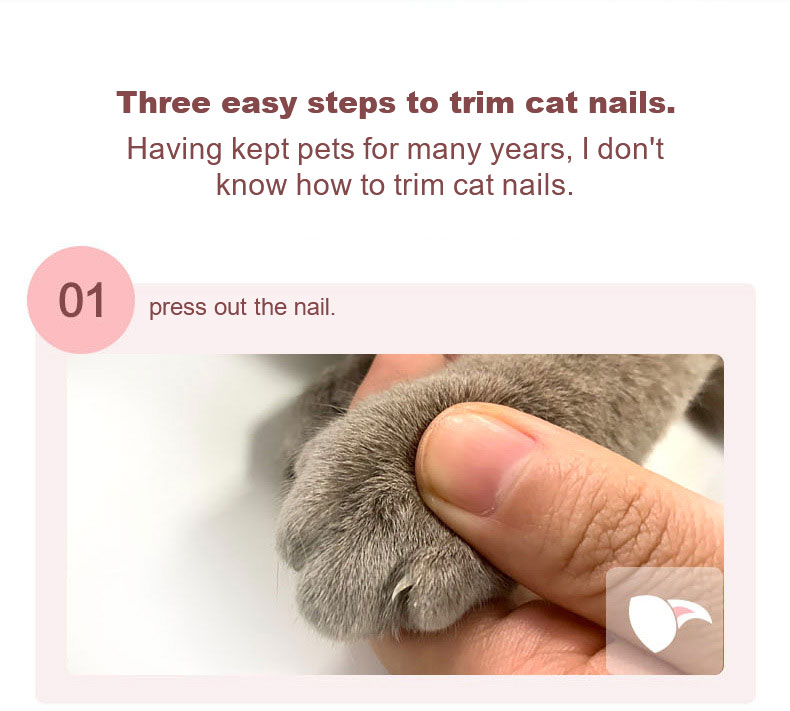 Cat Clipper Jpg
