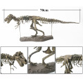 Simulation DIY 3D Dinosaur Model Skeleton Educational Dinosaurio Biology Biologia Interesting Toy For Children Gift Dinosaurios