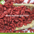 Factory Nutrition Dried Organic Certificated Goji Berry