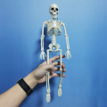 Active Human Model skeleto Anatomy Skeleton Skeleton Model Medical Learning Halloween Party Decoration Skeleton Art Sketch 1 Pcs