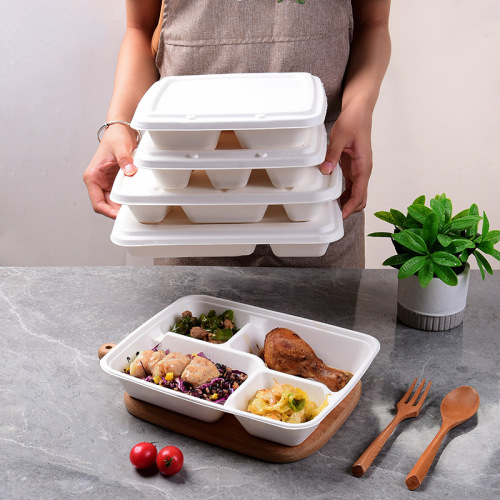 Suppliers for 100% Compostable Sugarcane pulp Lunch Box