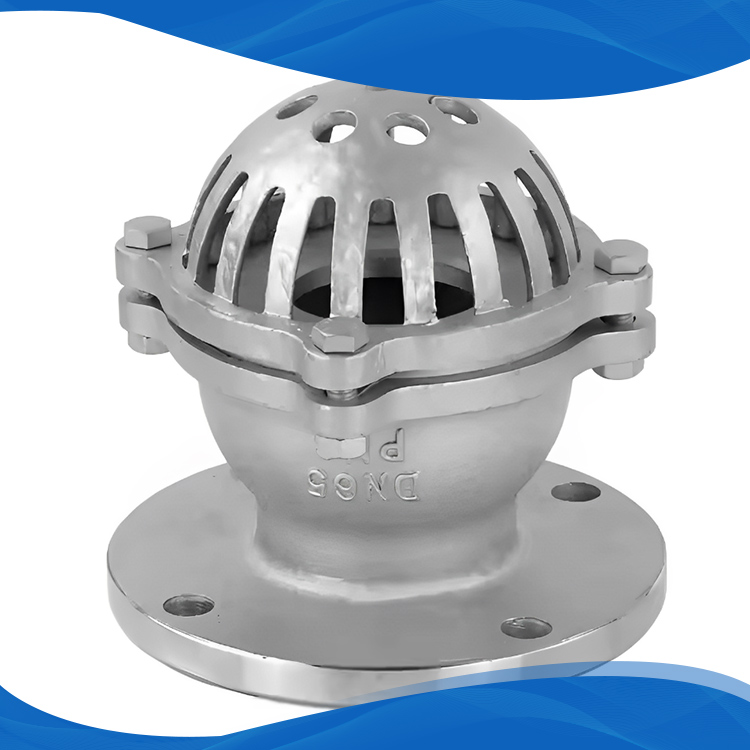 Pump Foot Valve